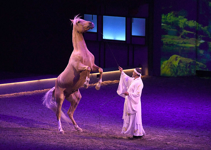 Cavalluna - Das Land der Tausend Träume - Europas erfolgreichste Pferdeshow ist zurück am 17.+18.02.2024 @ Olympiahalle München  (©Foto:Ingrid HGrossmann)
